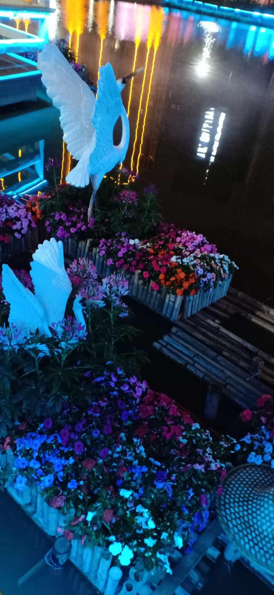 一级建造师报考,你有哪些经验可以分享?- 专业问答平台